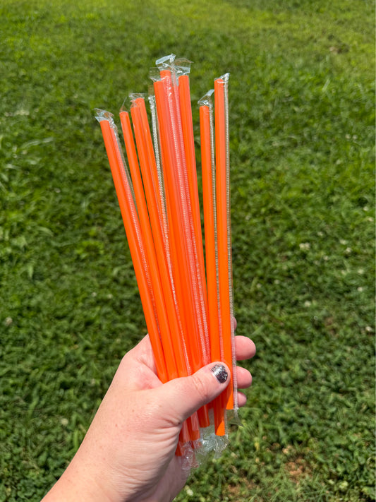 10” Disposable Straws