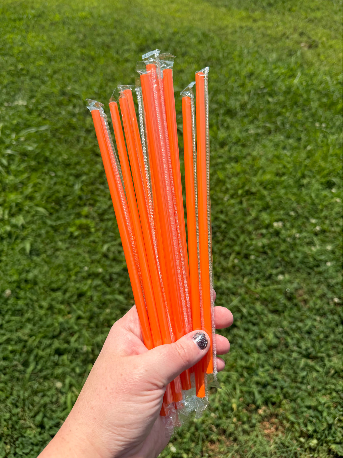 10” Disposable Straws