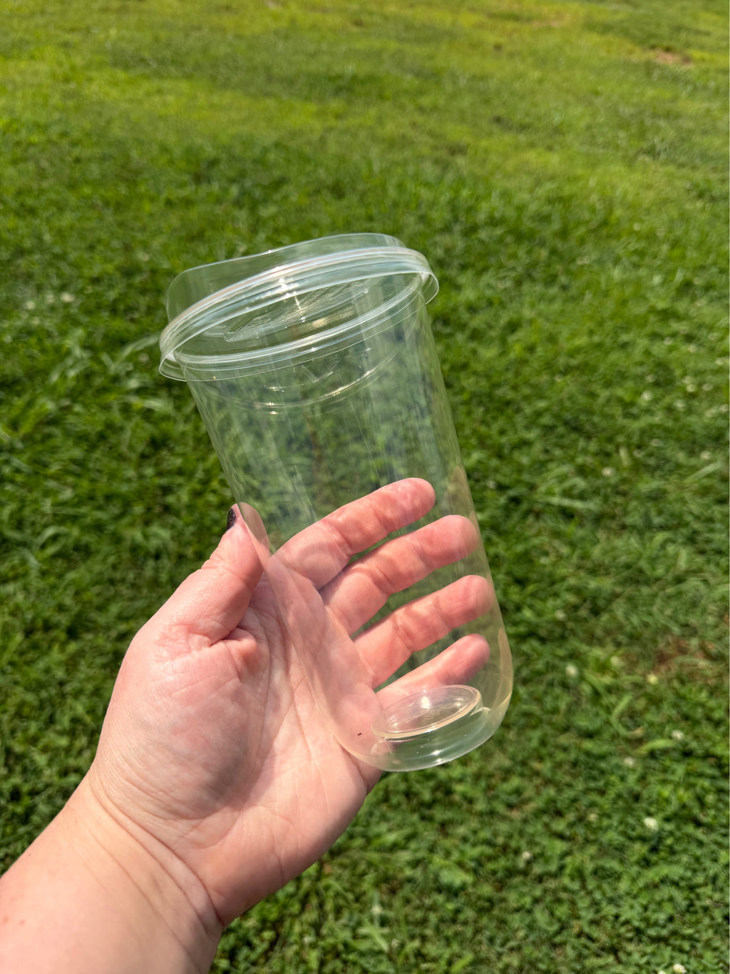 Blank U-Shaped Cups