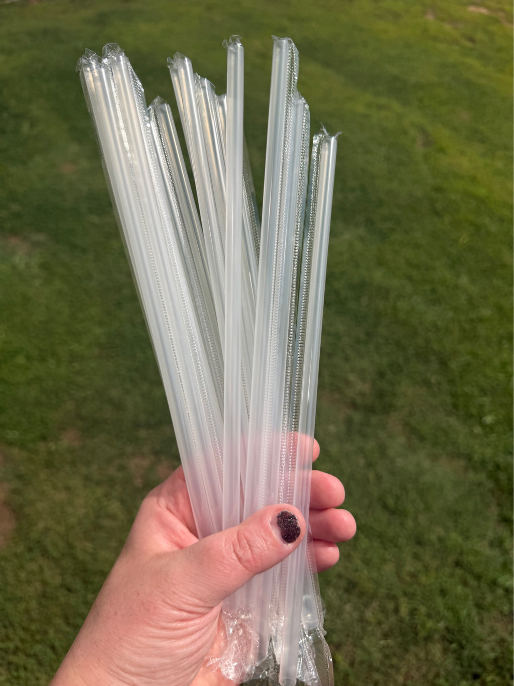 10” Disposable Straws